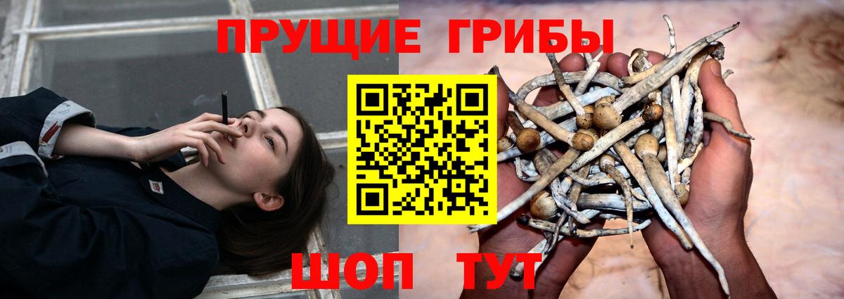 Советский  Галлюциногенные грибы прущие грибы  Вход с VPN 