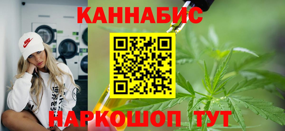 Канабис сатива  Конопля планчик  МАРИХУАНА семена  Советский  Вход с VPN 
